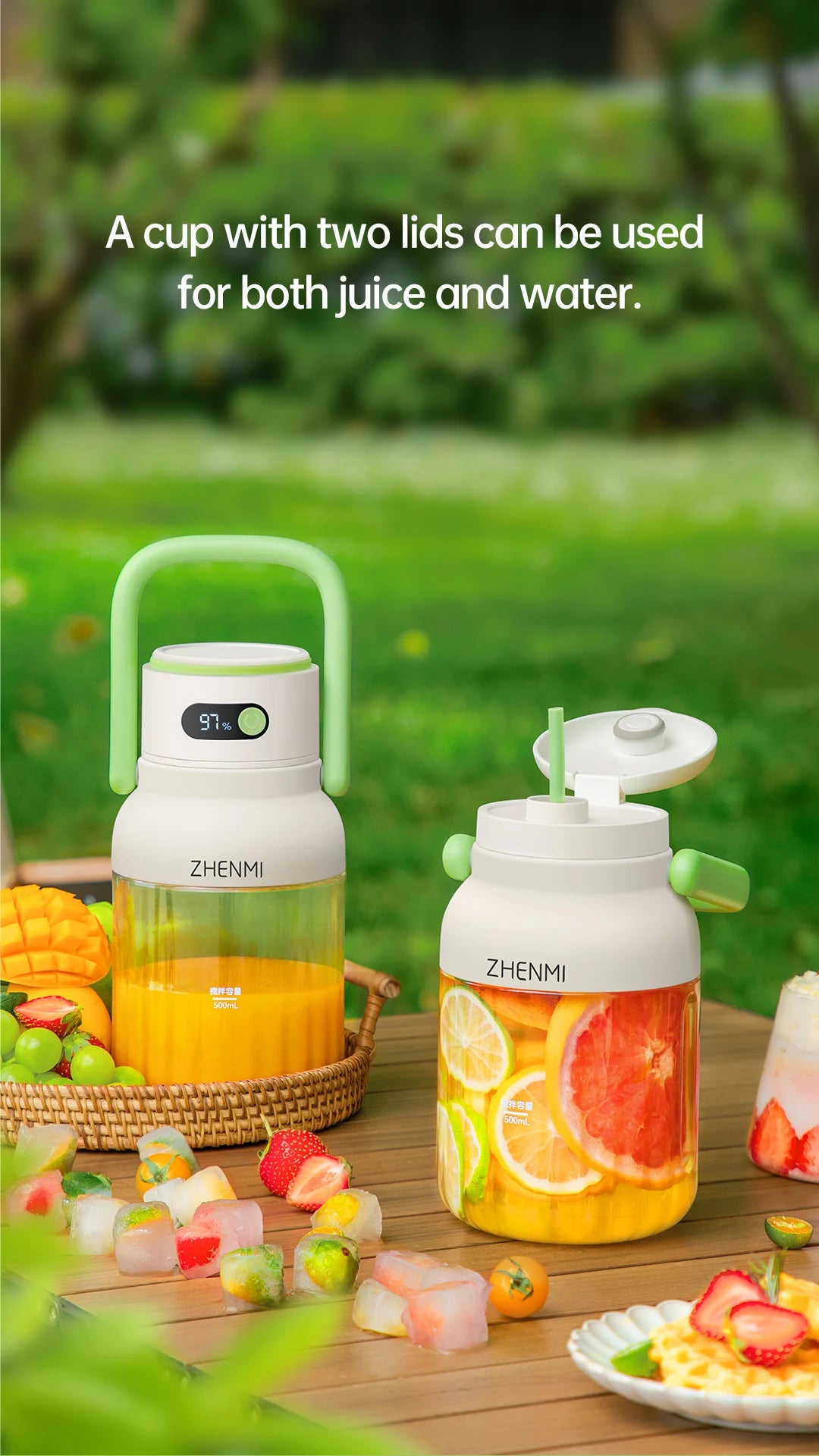 HealthySqueeze GoBlend Pro