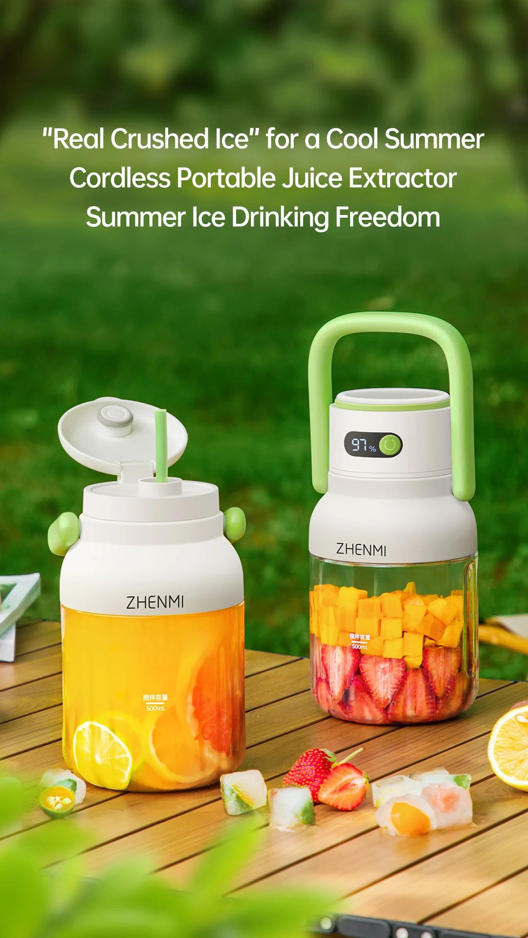 HealthySqueeze GoBlend Pro