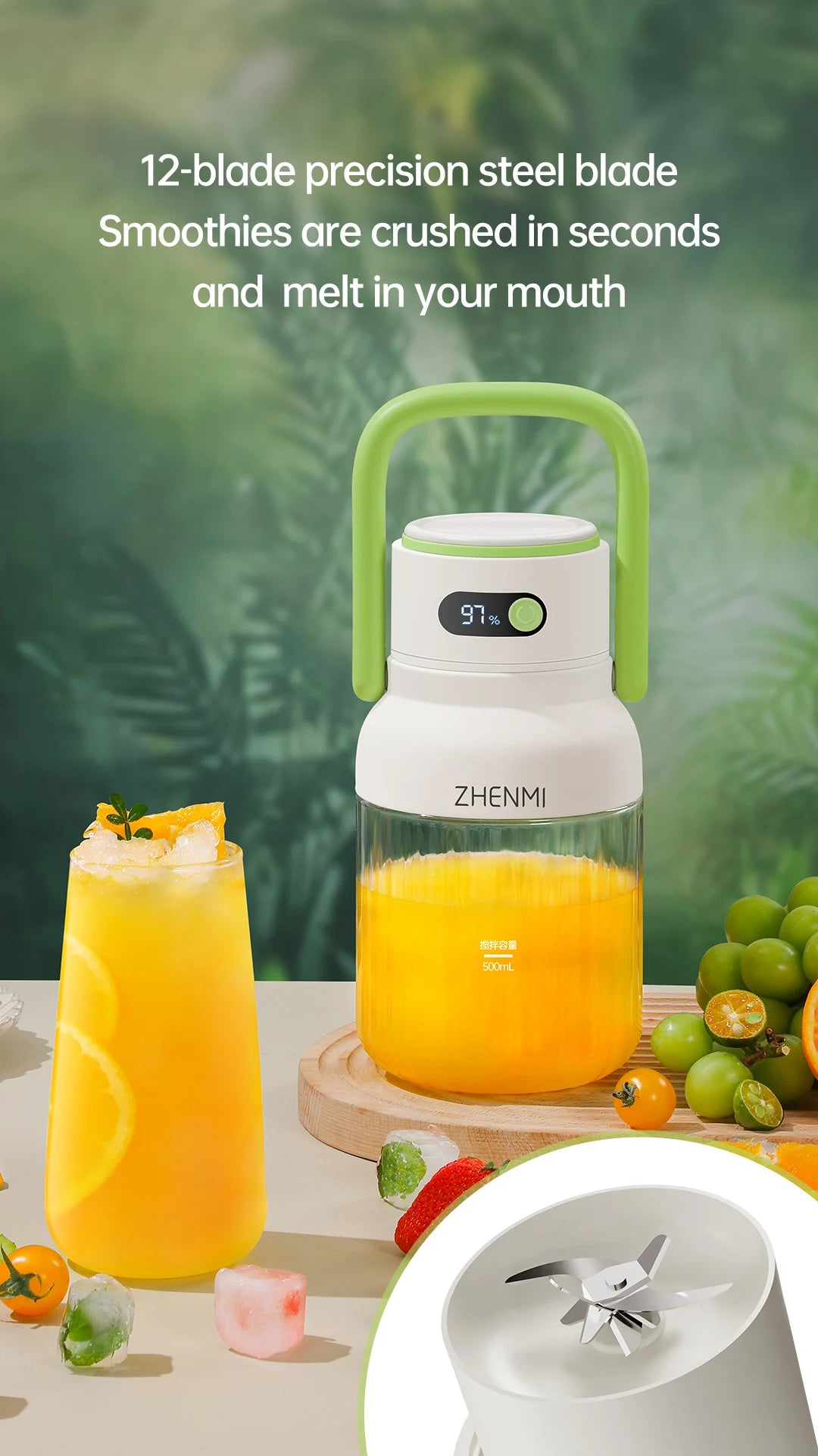 HealthySqueeze GoBlend Pro